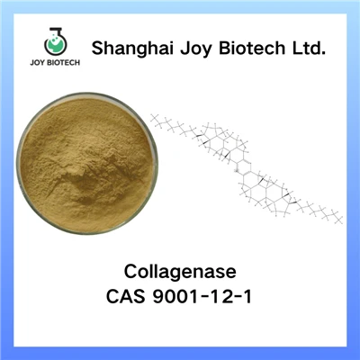 Kollagenase A CAS Nr. 9001-12-1